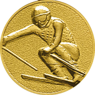 1109-101 Эмблема лыжный спорт/горный 1109-101