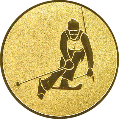 1109-102 Эмблема лыжный спорт/горный 1109-102